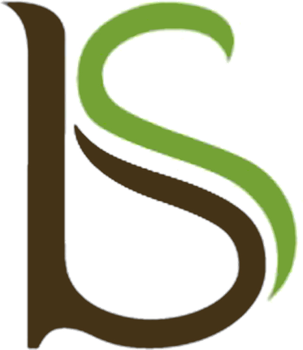 Body N Spice logo