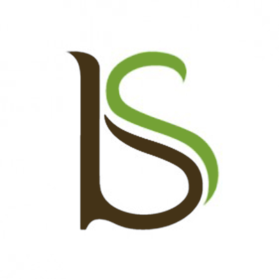 Body N Spice logo