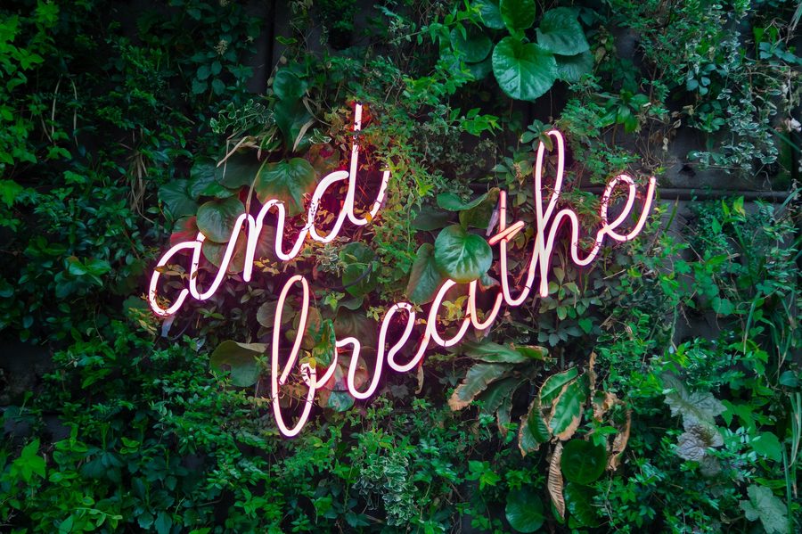 Neon sign reading 'and breathe' against green leaves